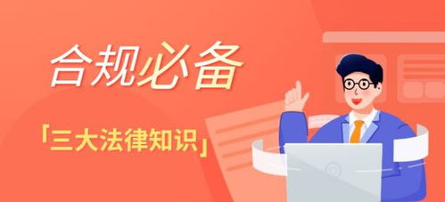 財稅合規(guī)師的法規(guī)通才之道 深度解析合規(guī)必備的三大法律知識體系